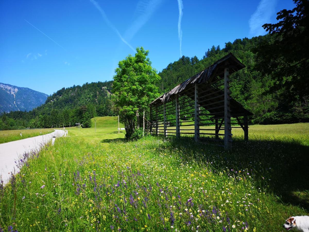 Apartmaji Volf Згорнє Горє Екстер'єр фото